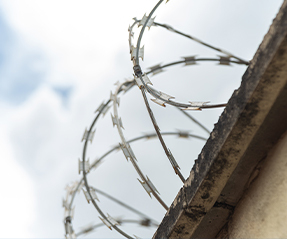 Instalação de Concertinas | Shopping da Cerca Elétrica