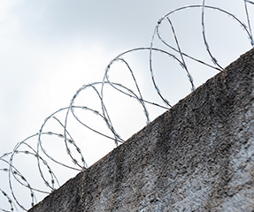 Concertina Clipada | Shopping da Cerca Elétrica