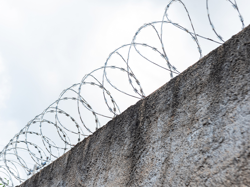 Manutenção de Concertinas: Como Preservar a Eficiência e Durabilidade do Sistema de Segurança | Shopping da Cerca Elétrica